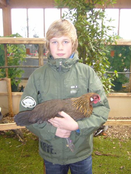 Kreisschau Coesfeld 2008 096.jpg - Daniel Pieper mit Rheinländer rebhuhnfarbig